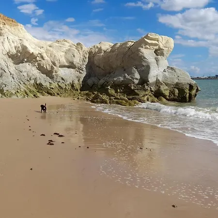Mi Rincon De *